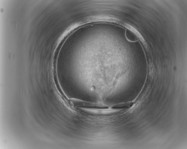 X0000087591043200705041504