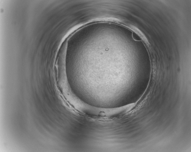 X0000087591044200705041504