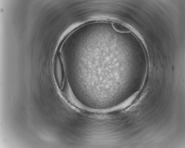 X0000087591045200705041504