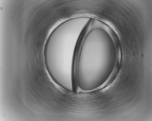 X0000087591046200705041504