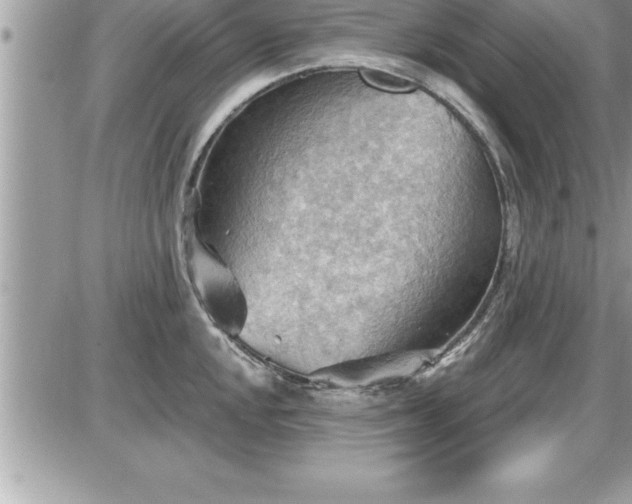 X0000087591048200705041504