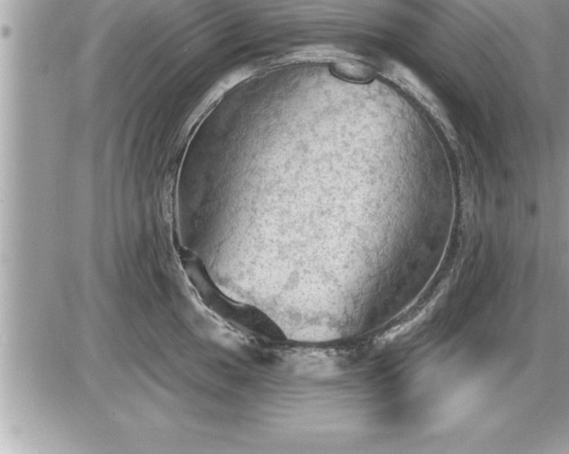 X0000087591049200705041504