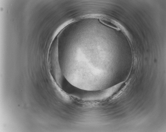 X0000087591050200705041504