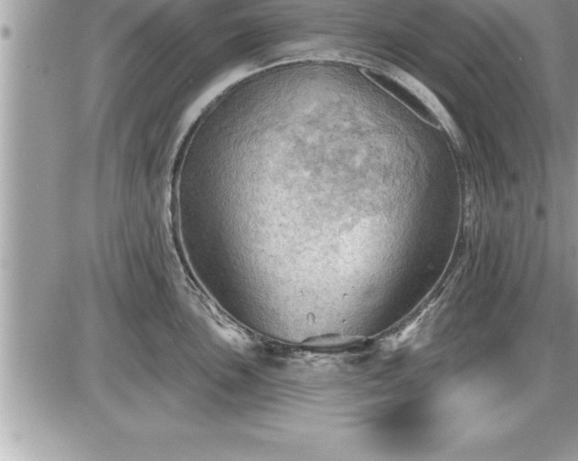 X0000087591051200705041504