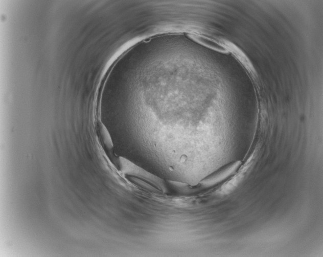 X0000087591052200705041504