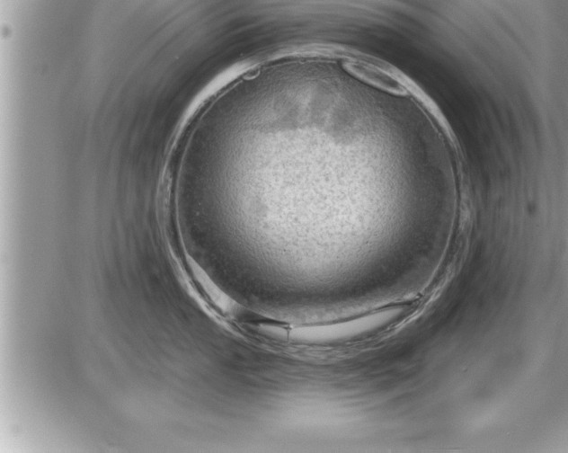 X0000087591053200705041504