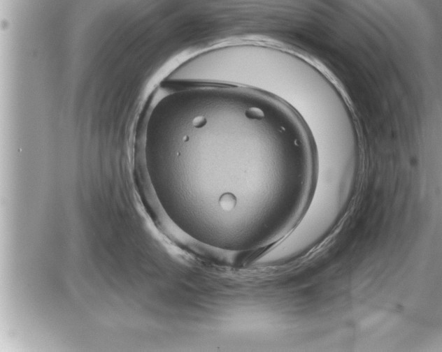 X0000087591054200705041504