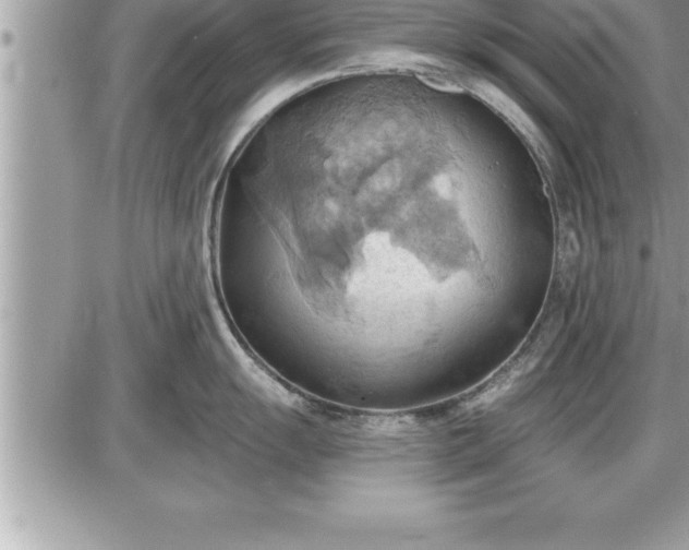 X0000087591055200705041504