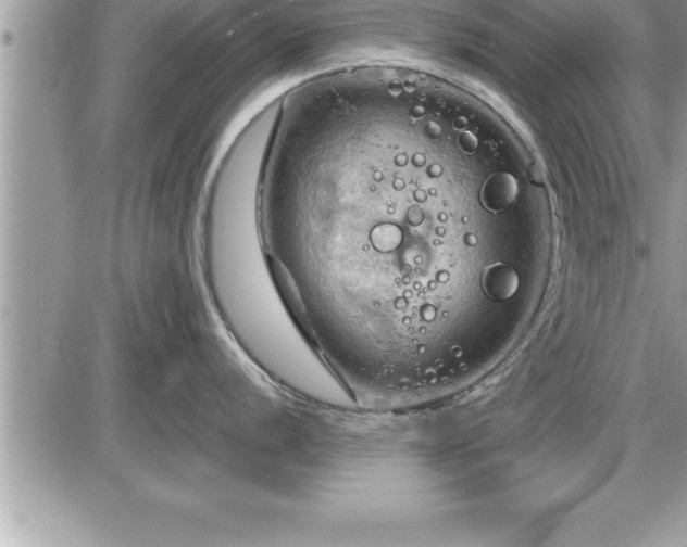 X0000087591056200705041504