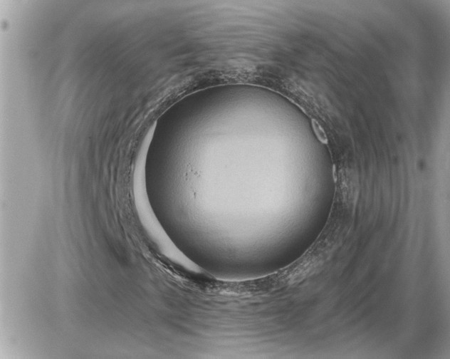 X0000087591057200705041503