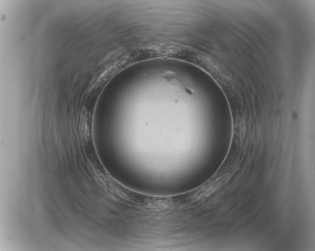 X0000087591058200705041503