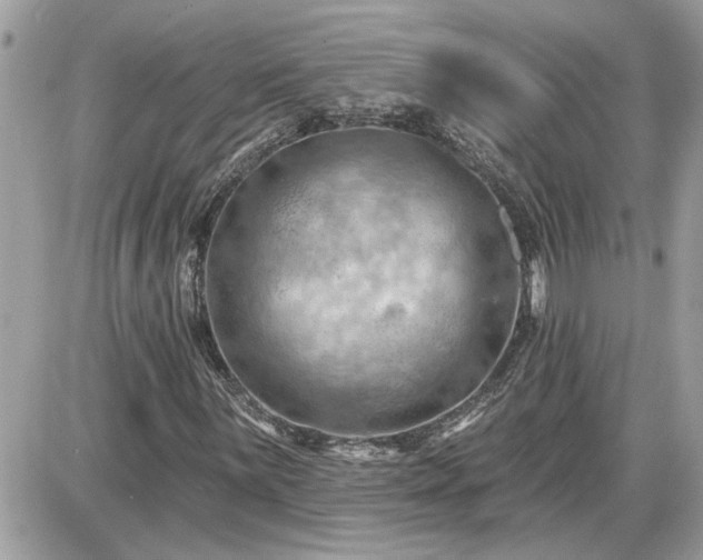 X0000087591059200705041503