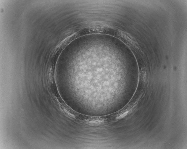 X0000087591060200705041503