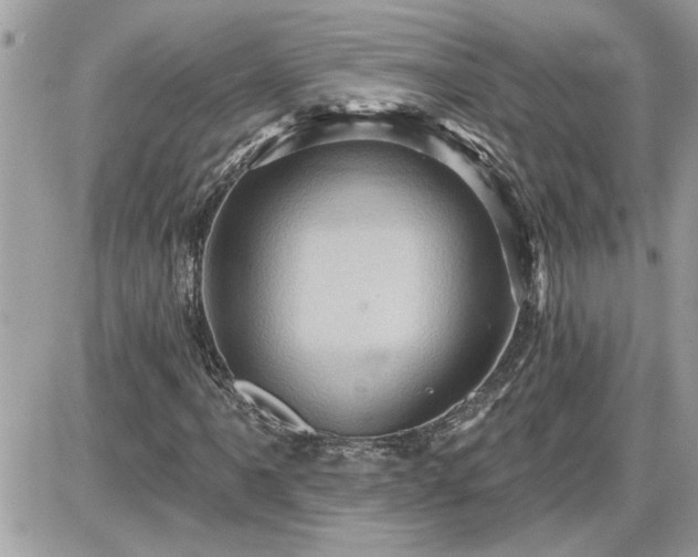 X0000087591061200705041503