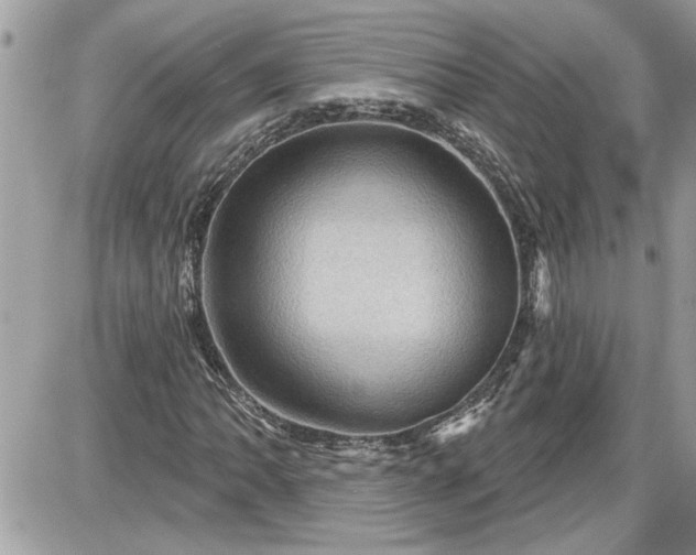 X0000087591062200705041503