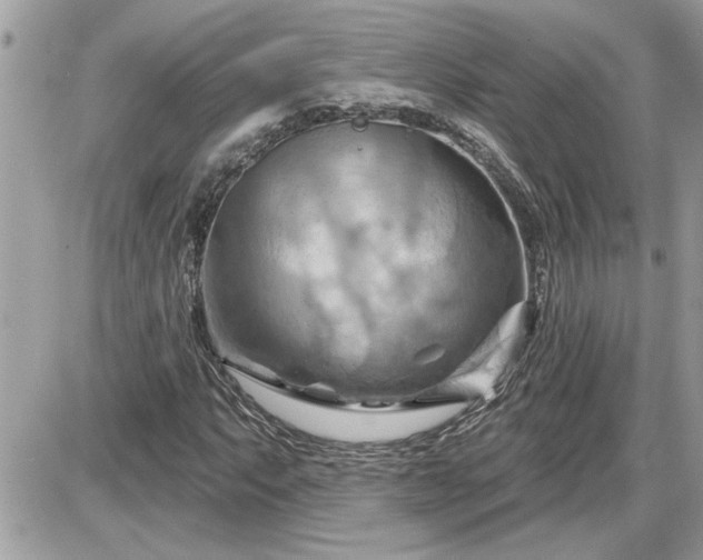 X0000087591063200705041503