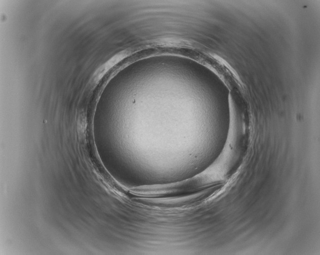 X0000087591065200705041503