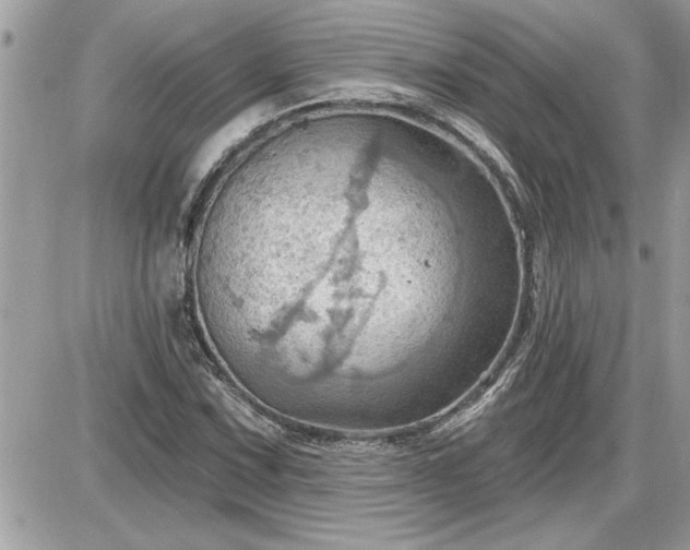 X0000087591067200705041503