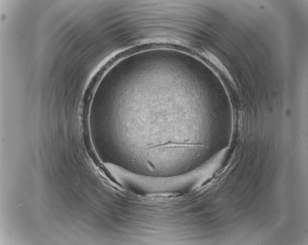 X0000087591068200705041503