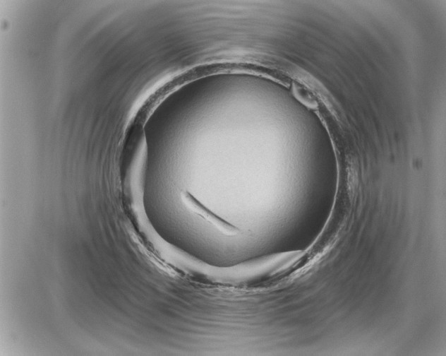 X0000087591069200705041503