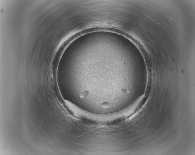 X0000087591070200705041503