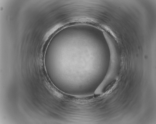 X0000087591071200705041503