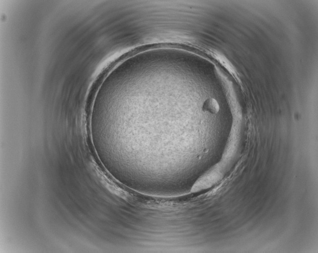 X0000087591072200705041503