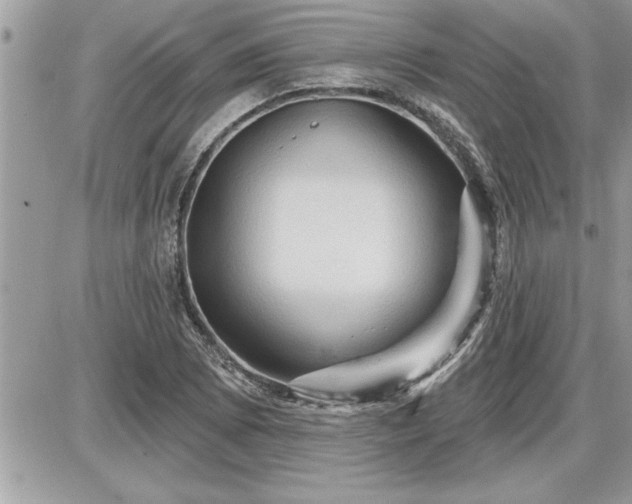 X0000087591073200705041503