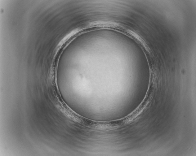 X0000087591074200705041503