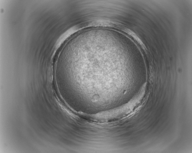 X0000087591075200705041503