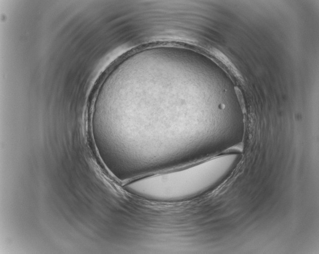 X0000087591076200705041503