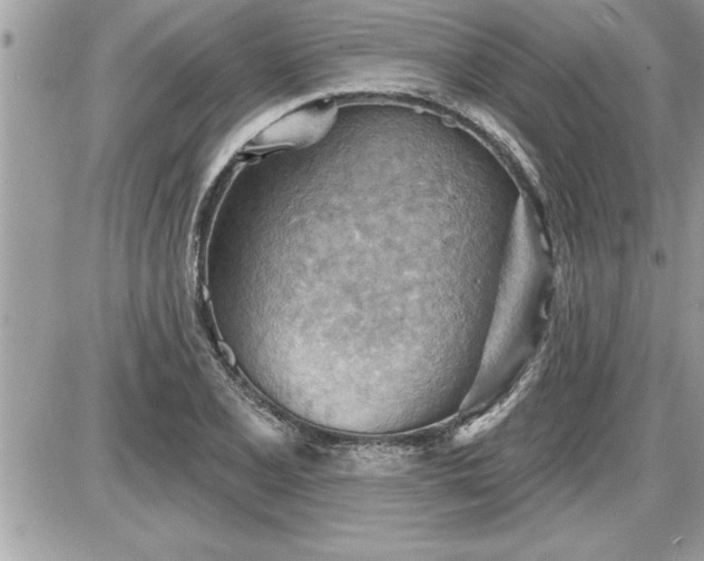 X0000087591077200705041503