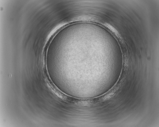 X0000087591078200705041503