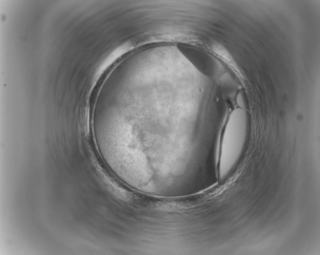 X0000087591079200705041503