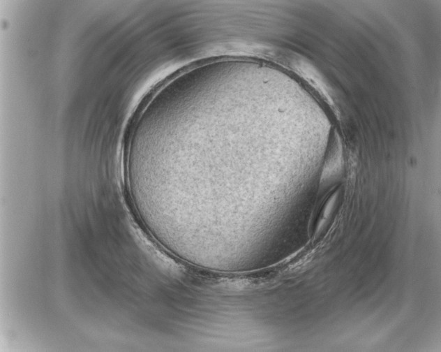 X0000087591080200705041503