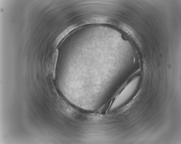 X0000087591081200705041503