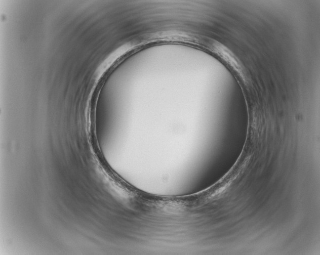 X0000087591082200705041503