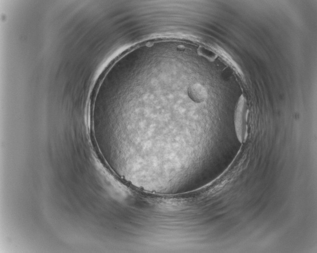 X0000087591084200705041503