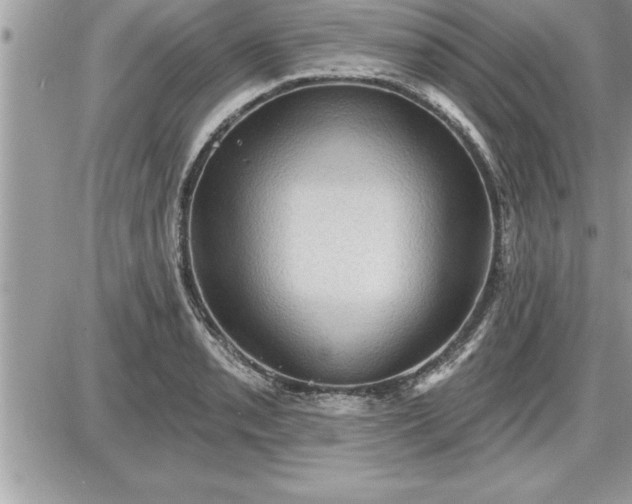 X0000087591085200705041503