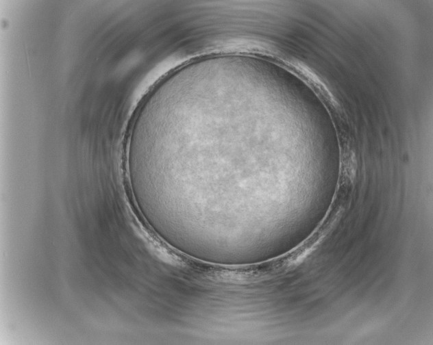 X0000087591086200705041503