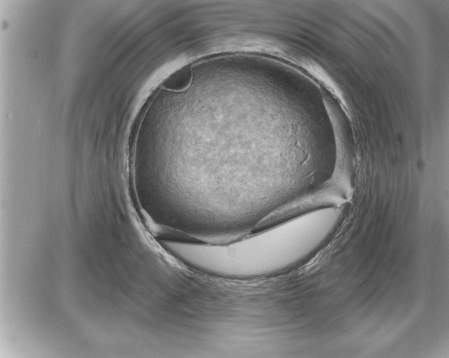 X0000087591088200705041503