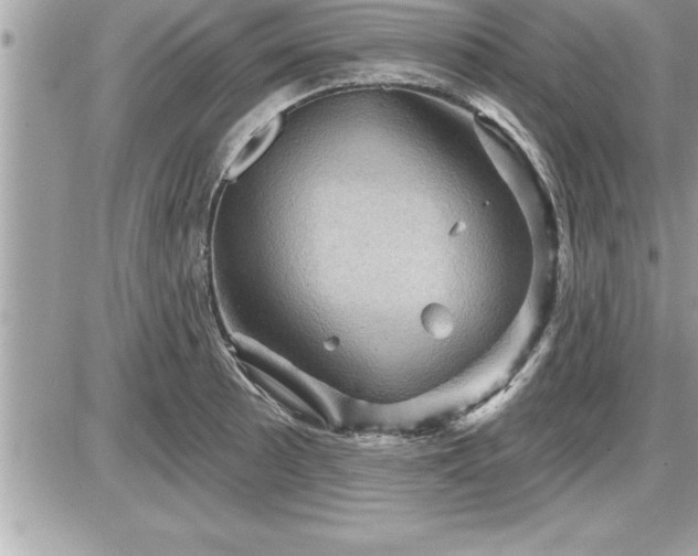 X0000087591089200705041503