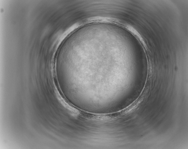 X0000087591090200705041503