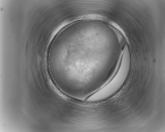 X0000087591091200705041503