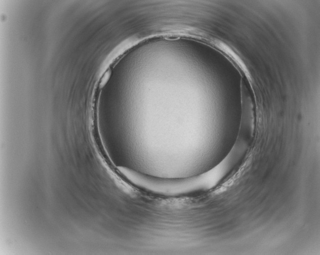 X0000087591093200705041503