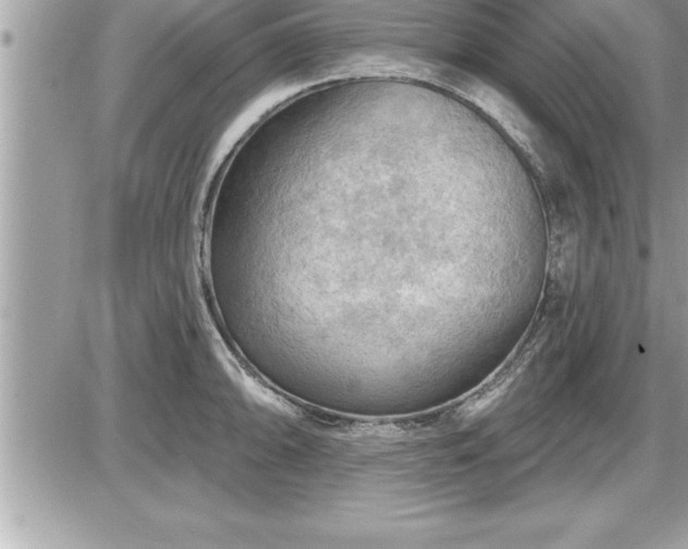 X0000087591094200705041503