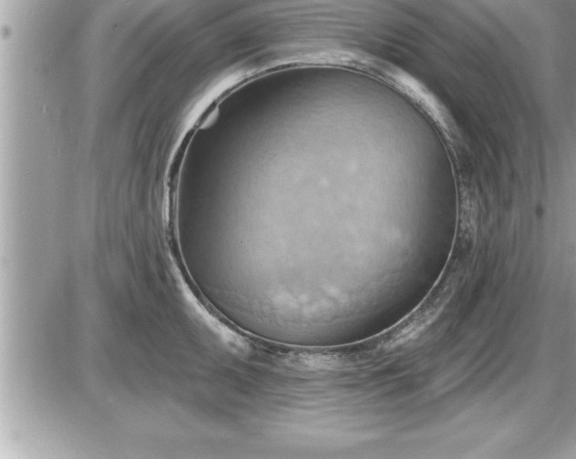 X0000087591095200705041503