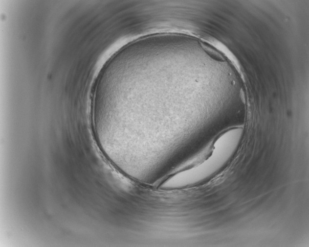 X0000087591096200705041503