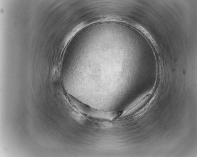 X0000087591097200705041503