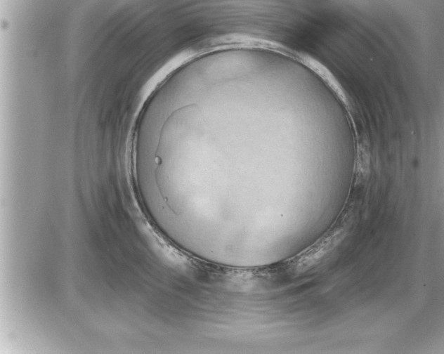 X0000087591098200705041503